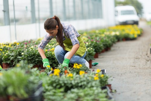 Professional garden landscaping ideas for Colindale homes and shared outdoor spaces