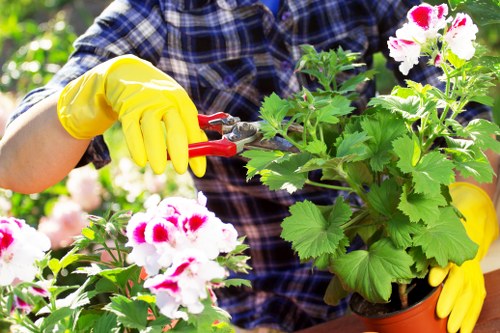 Landscaping Colindale about us introduction with a designed garden setting