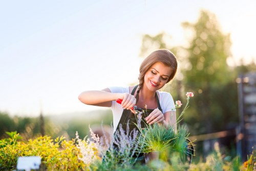 Soft landscaping improvements for a Colindale garden with shrubs and lawn