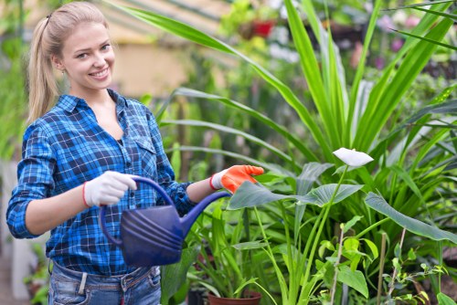 Secure Landscaping Colindale payment process shown on a protected checkout screen