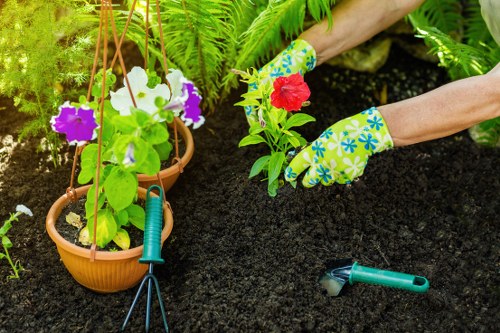 Landscaping service terms and conditions introduction