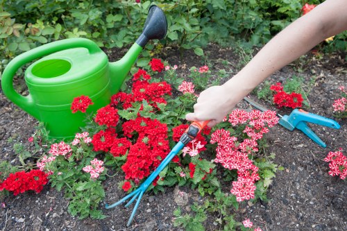 Marketing cookies helping tailor content for Landscaping Colindale