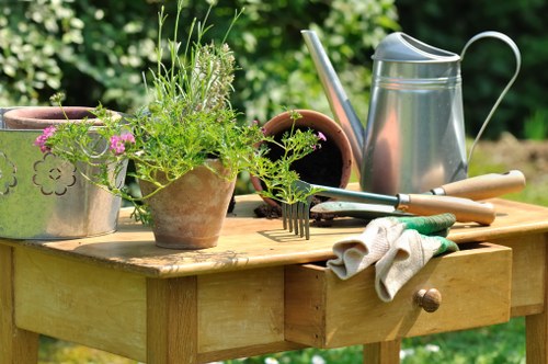 Local outdoor lighting service planning in a Colindale garden