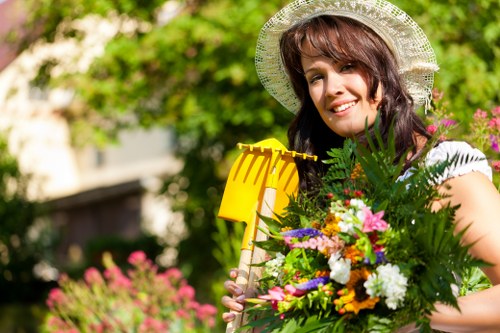 Low-maintenance garden design suitable for modern Colindale properties