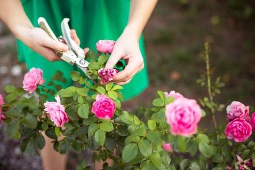 Ethical landscaping operations focused on human rights and compliance