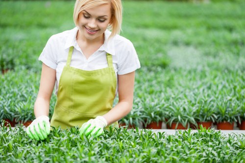 Professional hard landscaping in Colindale with steps, edging, and durable finishes