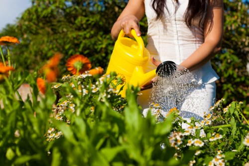 Trusted payment methods for Landscaping Colindale including card and PayPal options