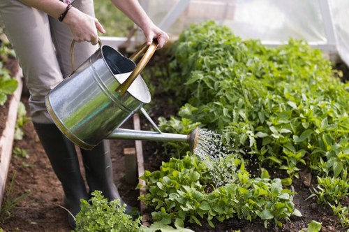 Risk assessment and safety checks before landscaping begins