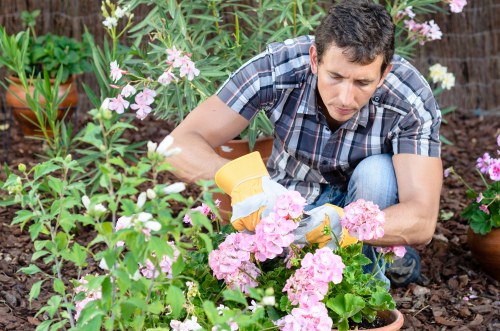 Waste regulations and environmental compliance section